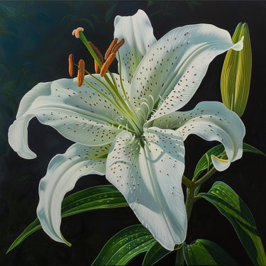Tableau d'une Fleur Blanche